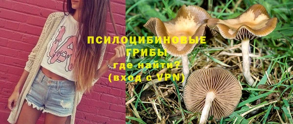 таблы Арсеньев