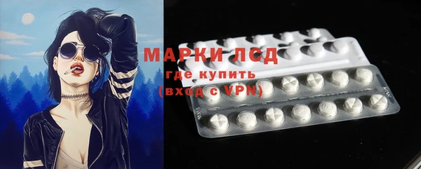 прущие грибы Балахна