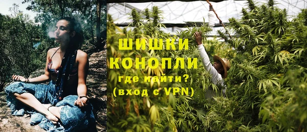 гашик Аркадак