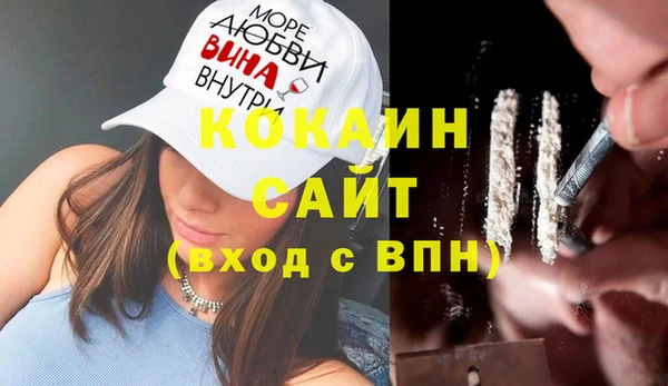 гашик Аркадак