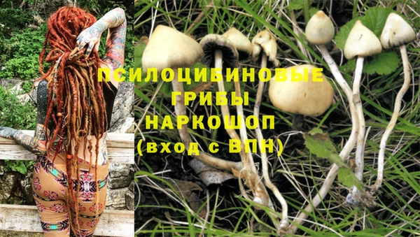гашик Аркадак