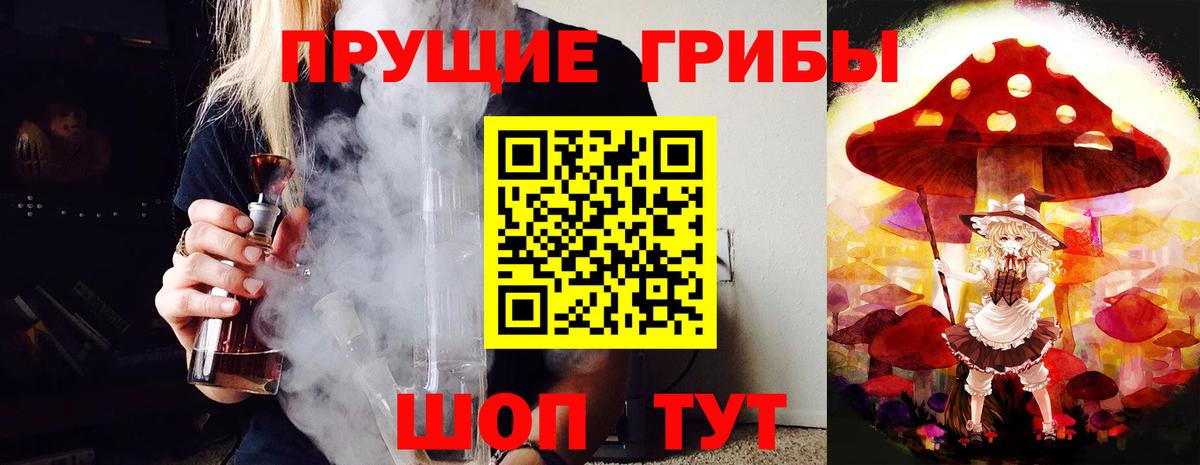 Невинномысск  сколько стоит  Псилоцибиновые грибы Psilocybine cubensis  Вход с VPN  Псилоцибиновые грибы MAGIC MUSHROOMS 